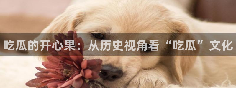 吃瓜小说：吃瓜的开心果：从历史视角看“吃瓜”文化