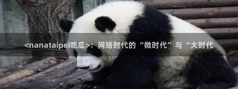 51吃瓜今日吃瓜最新网址：<nanataipei吃瓜>：网络时代的“微时代”与“大时代