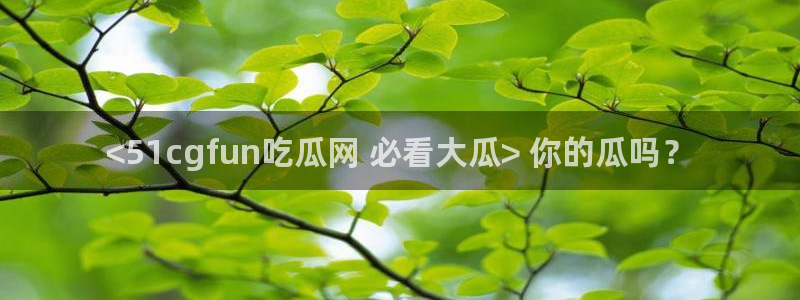 51吃瓜 张津瑜 网