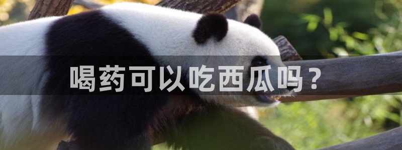 51吃瓜网今日必吃每日大瓜