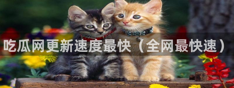 贝贝瓜可以炒着吃吗：吃瓜网更新速度最快（全网最快速）