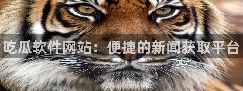 板栗瓜怎样做最好吃：吃瓜软件网站：便捷的新闻获取平台