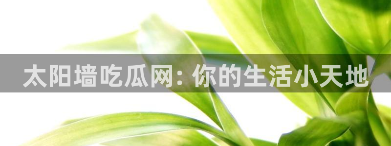 1吃瓜：太阳墙吃瓜网: 你的生活小天地