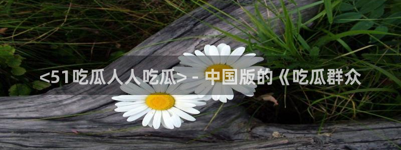 吃瓜：<51吃瓜人人吃瓜> - 中国版的《吃瓜群众
