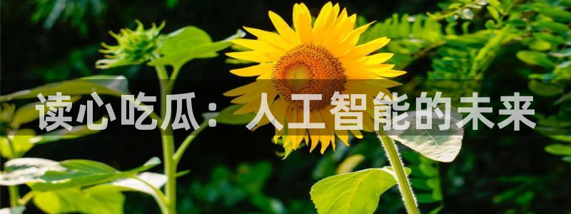taipeinana51吃瓜