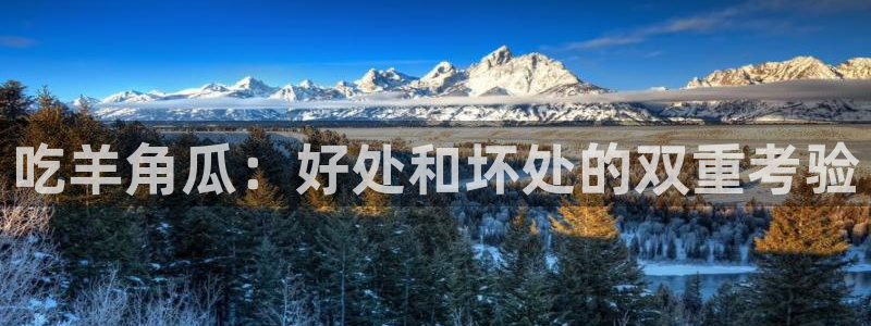 对照组在大杂院吃瓜[七零]：吃羊角瓜：好处和坏处的双重考验
