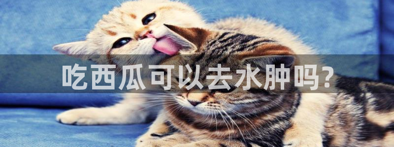 豆瓣自由吃瓜基地：吃西瓜可以去水肿吗?