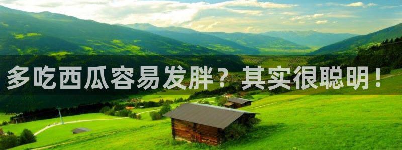 吃瓜是什么意思?：多吃西瓜容易发胖？其实很聪明！