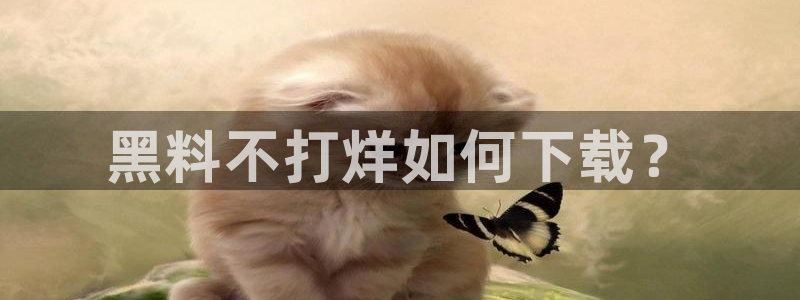 吃瓜:黑料不打烊如何下载?