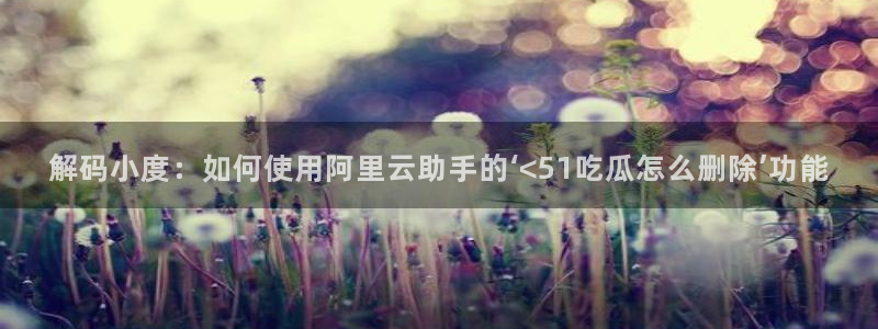51吃瓜今日吃瓜入口最新：解码小度：如何使用阿里云助手的‘<51吃瓜怎么删除’功能