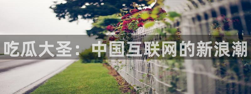 吃瓜胃酸怎么办：吃瓜大圣：中国互联网的新浪潮