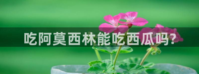 黑料黑料：吃阿莫西林能吃西瓜吗?