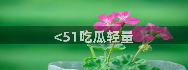 www.黑料.com：<51吃瓜轻量