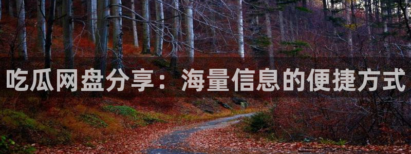 51cgfun吃瓜网怎么进：吃瓜网盘分享：海量信息的便捷方式