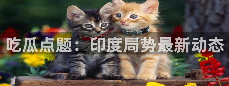 58吃瓜今日吃瓜入口：吃瓜点题：印度局势最新动态