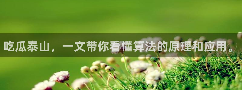 51吃瓜今日必吃刀刀:吃瓜泰山,一文带你看懂算法的原理和应用。
