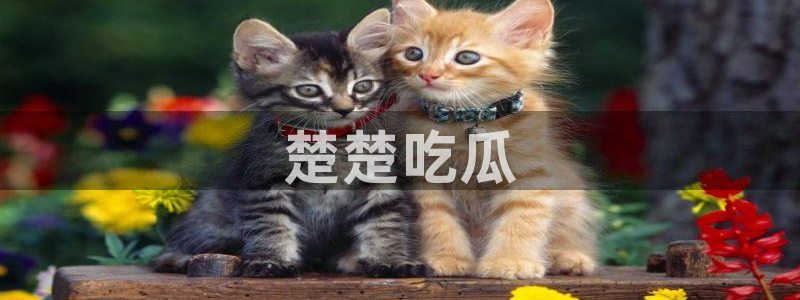黑料免费：楚楚吃瓜