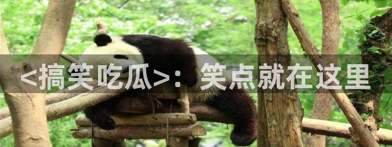 吃瓜爆料网不打烊回家：<搞笑吃瓜>：笑点就在这里