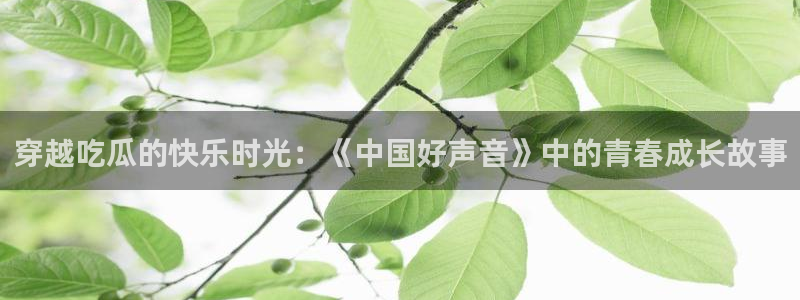 黑料下载：穿越吃瓜的快乐时光：《中国好声音》中的青春成长故事