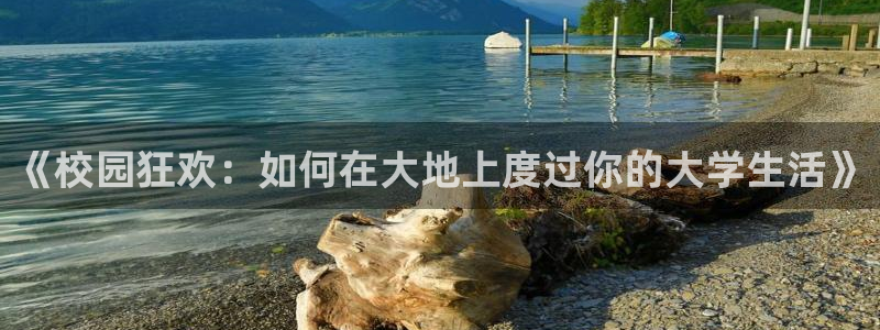 51cg热门大瓜今日吃瓜：《校园狂欢：如何在大地上度过你的大学生活》